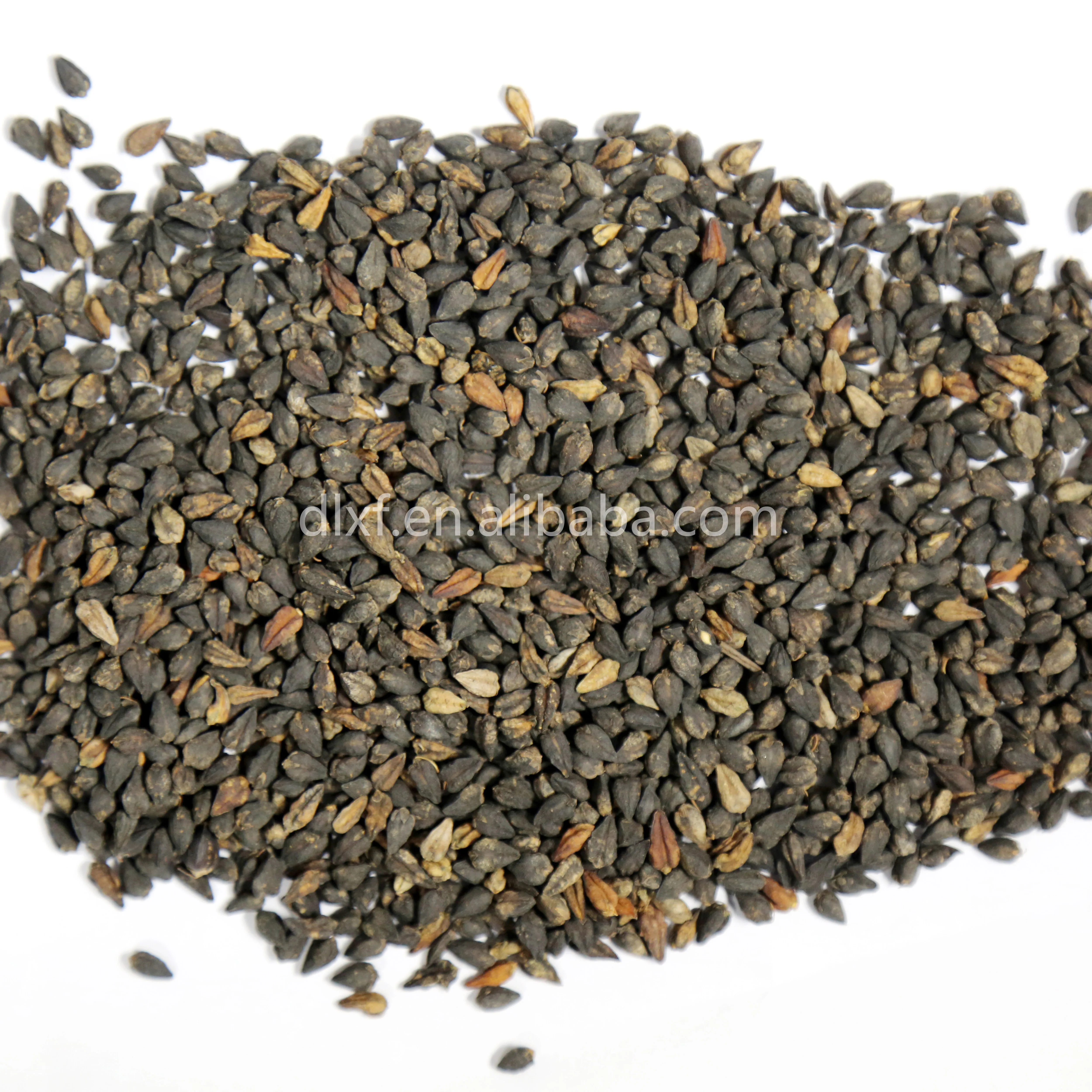 
 Горячая Распродажа, оптовая продажа, Органическая гречиха для чая, человеческое потребление, пищевая горькая гречиха  