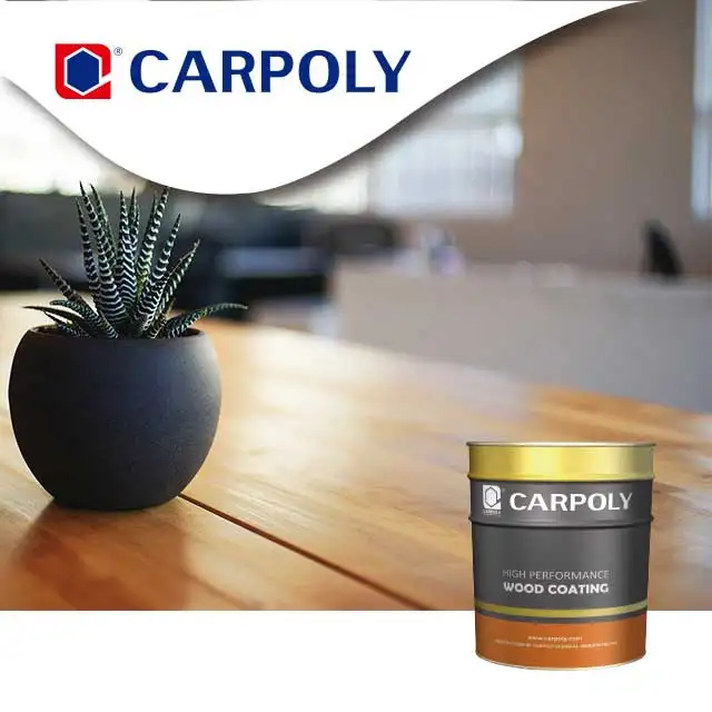 CARPOLY, деревянная краска, полиуретановое покрытие, прозрачный матовый материал для деревянной мебели