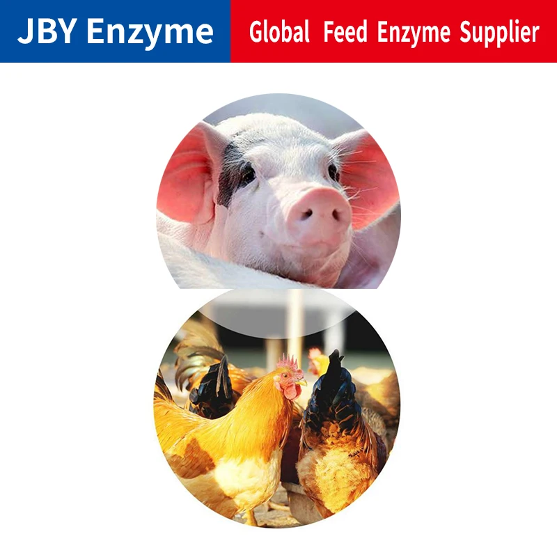 Animal grade feed enzyme factory feed additive cellulase enzyme powder cellulase