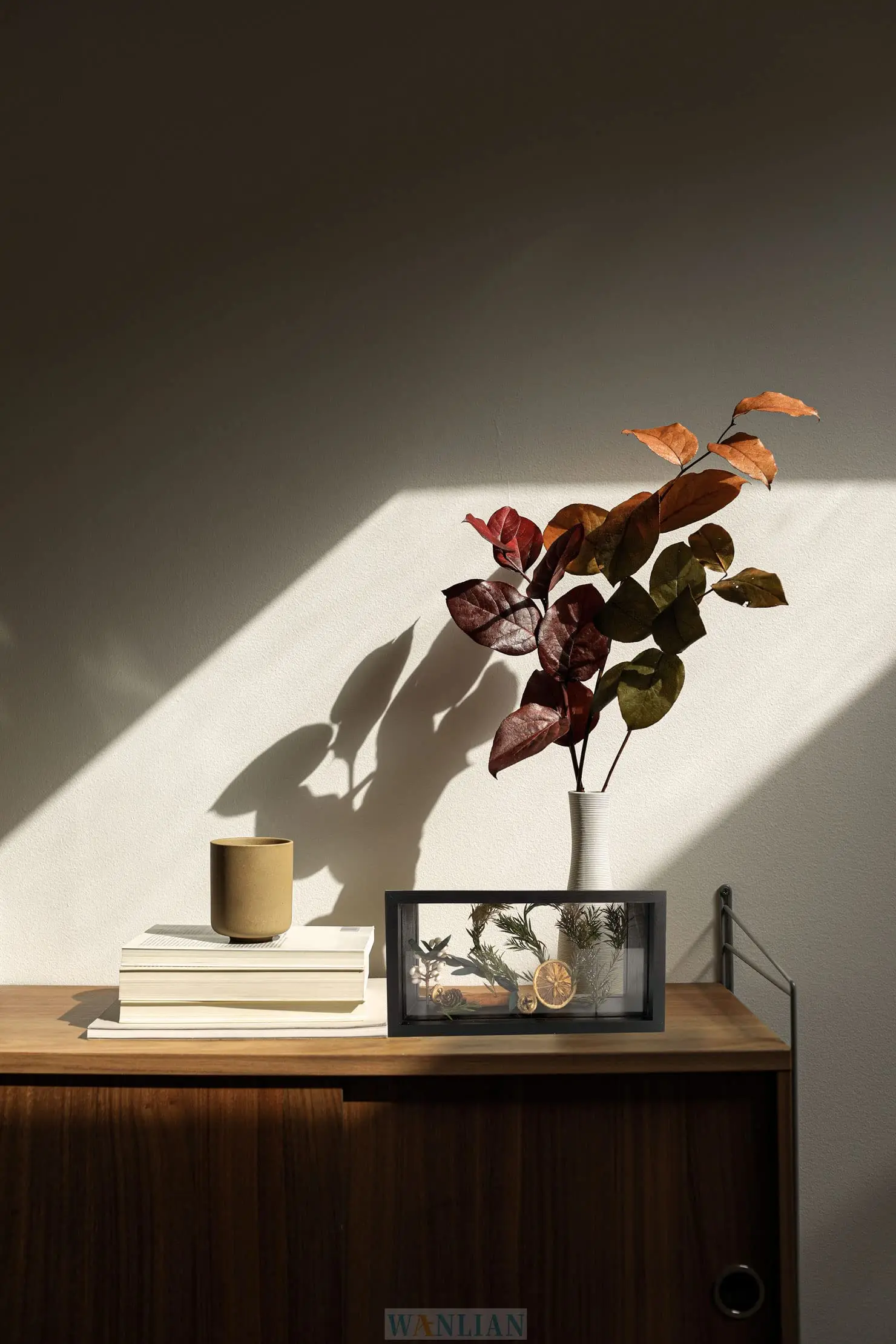 Black Wooden Double-Sided DIY Display Box High-Definition Plexiglass Storage Dried Flowers Baby Souvenirs Photos-Shadow Box