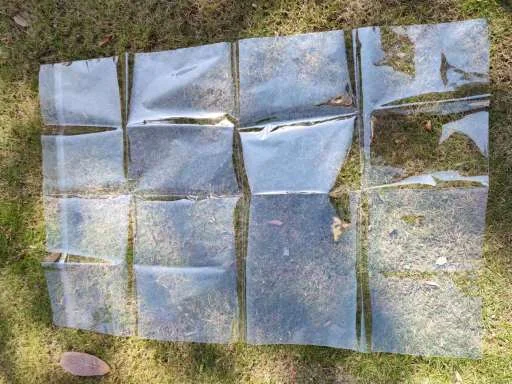 customize Clear Transparent OPP Self-Adhesive Plastic Poly Bag with Flap use for Packaging poster, comic book bag