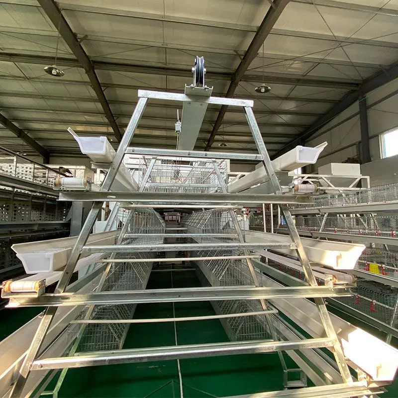 Design Modern Environment Control Shed Poultry Farm System Commercial Chicken Farm Business Plan