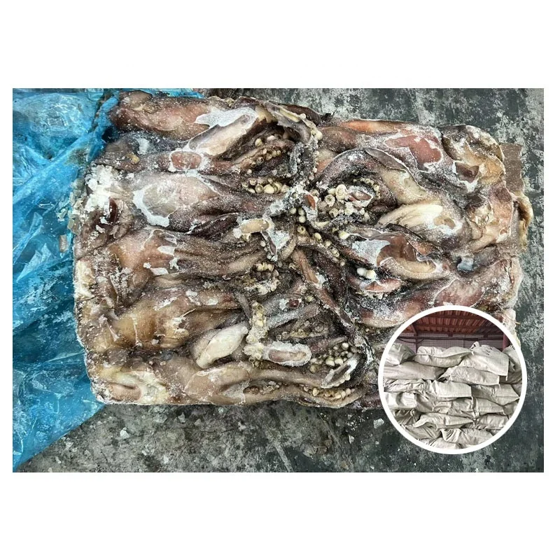 New Arrival Squid Products Ocean Squid Head 2000g+ Seafrozen Frozen Indian Machine Wash Customizable Bulk Packaging Seafood IQF