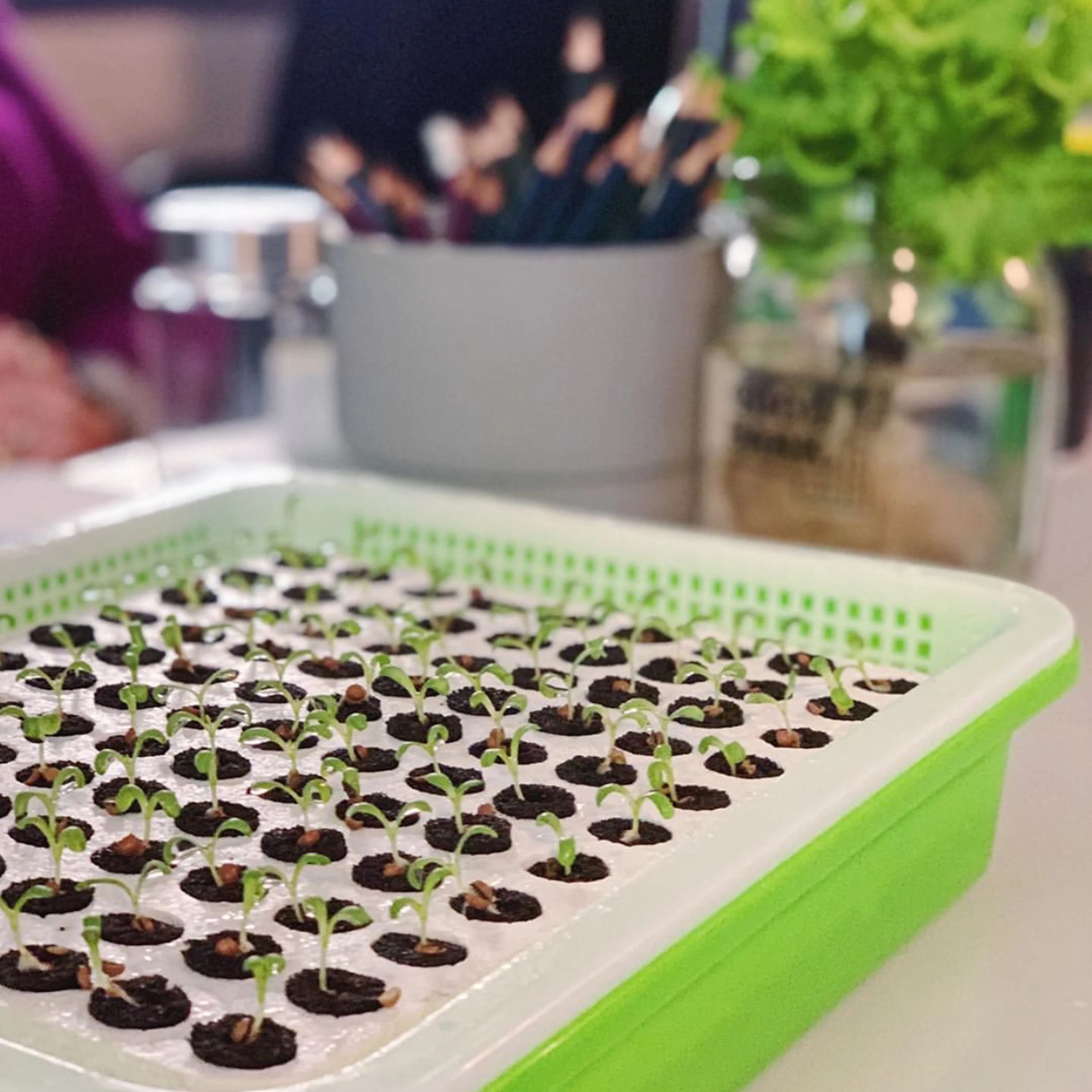 New Product Ideas Intelligent Inventory Commercial Aquaponics Farms Growing Systems