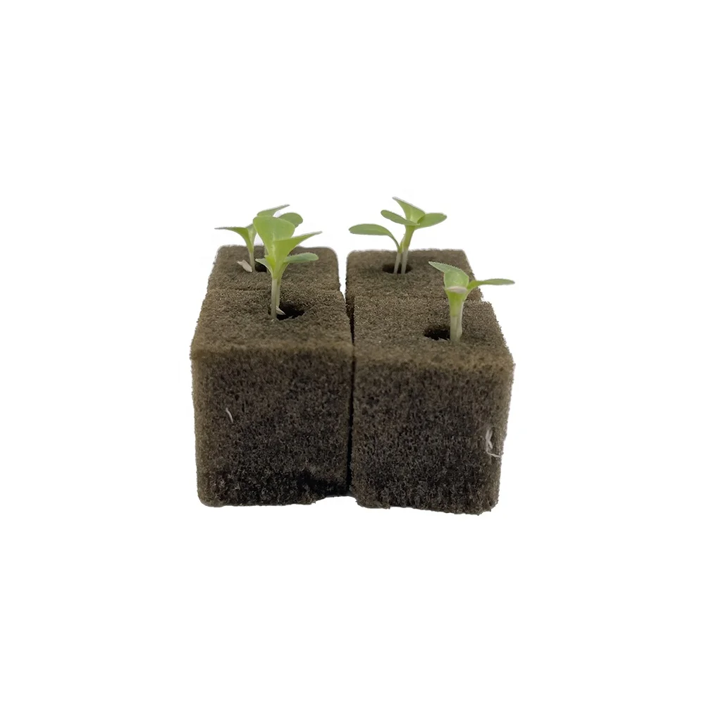 25*25*25mm Seed Planting Cubes Hydroponic System Accessories Germinating Cubes 150 cubes