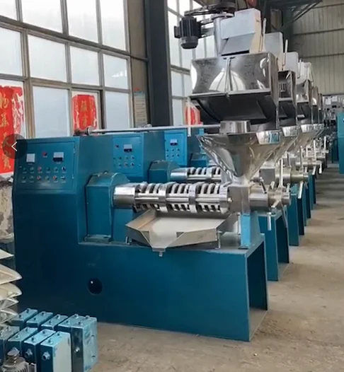 Customized Cold and Hot Oil Presser Peanut/Sesame/Soy Bean  Press Machine