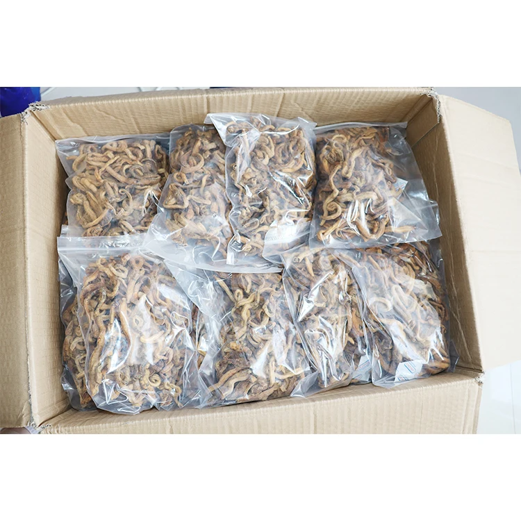 AlotFish hot sell Live Bait freeze-dry blood worm real fishing bait fat lure for sea fishing Soft worm bait