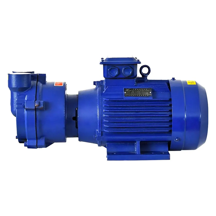 2BV Series Industrial High Vacuum Liquid Ring Pump Water Circulation Vacuum Pump Compressor Water Ring Vacuum Pump 2BV2061