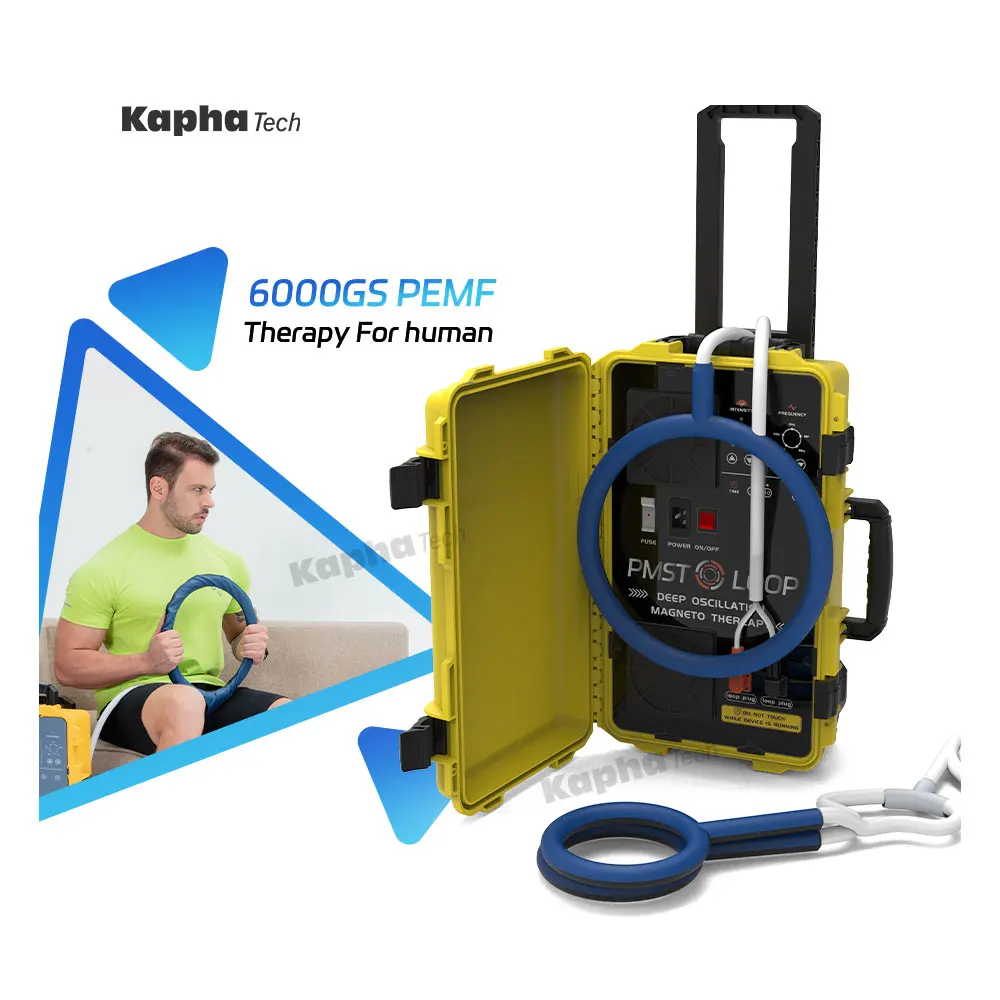 Kapha New Product PEMF Machine PMST LOOP For Human Pulse Electromagnetic Field Physiotherapy