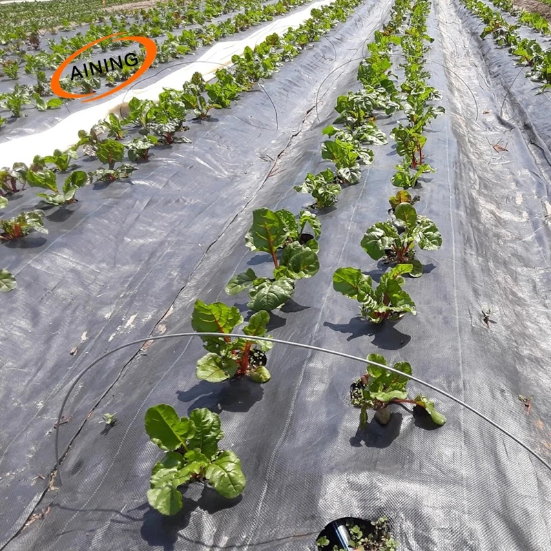 Factory Greenhouse PP Woven Weed Control Mat / Ground Cover Mesh Fabric / Agricultural Black Plastic Gardening Ground Cover