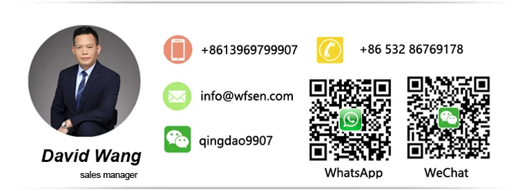 WFSEN S2 48v 4kw manufacturer mini 2 4 6 8 seater golf cart electric golf car with part