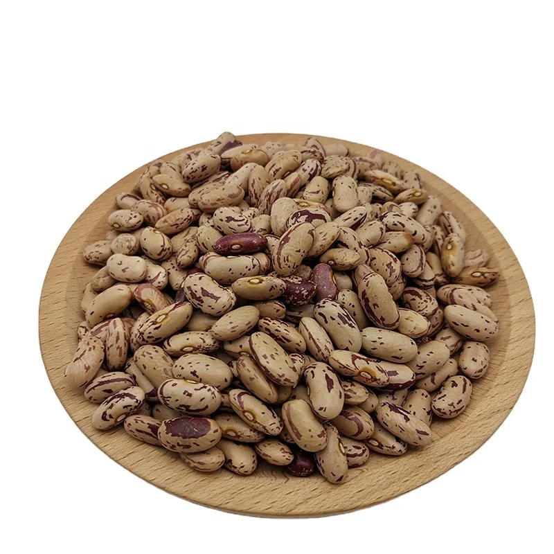 Light Speckled | Red Speckled Kidney Bean Long Shape