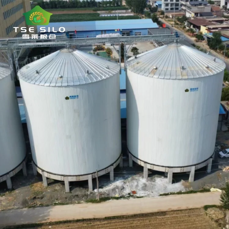 Soybean wheat paddy flat bottom  grain silo for farms