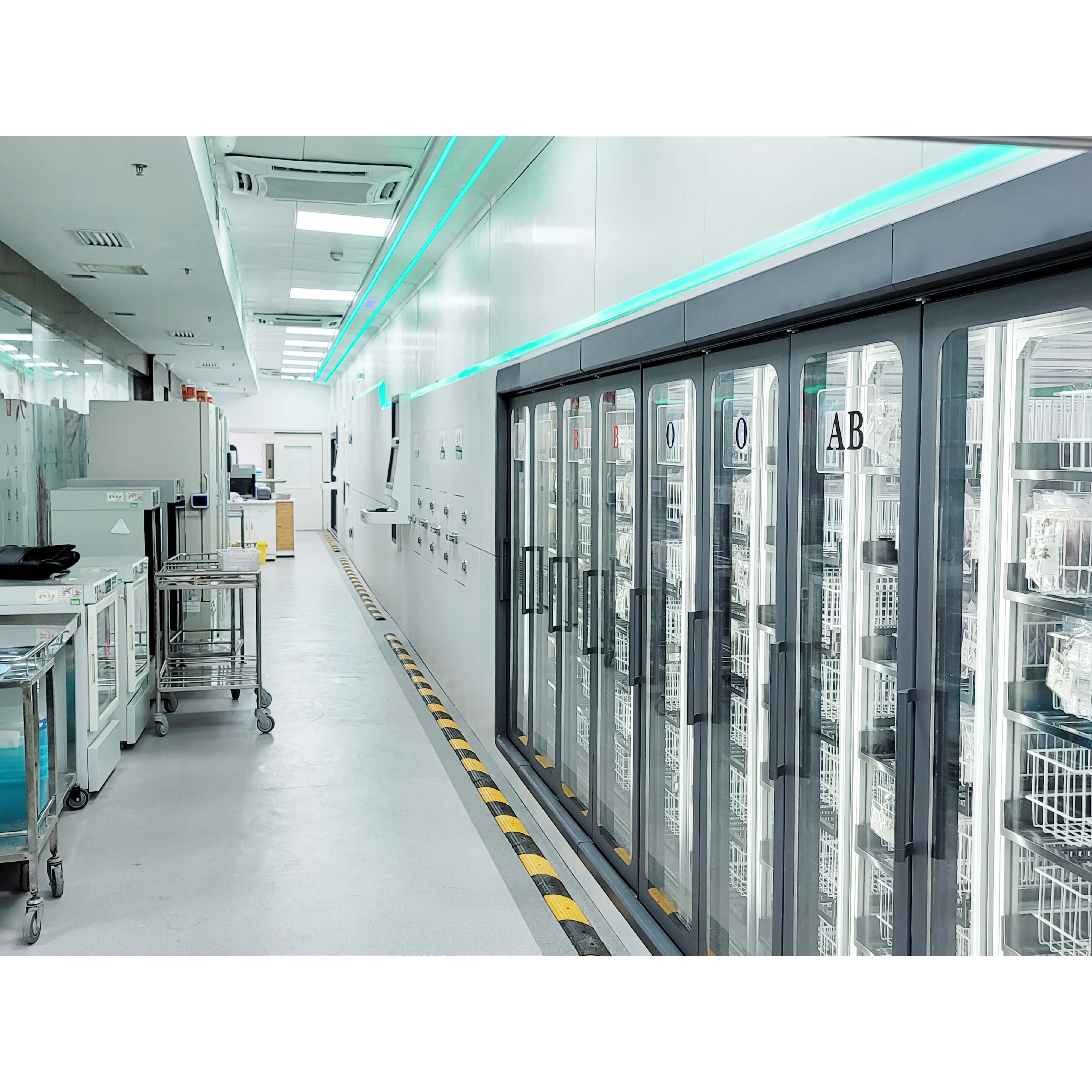 factory Outlet walk in freezer walking cooler and freezer sandwich panel and glass door for cold room