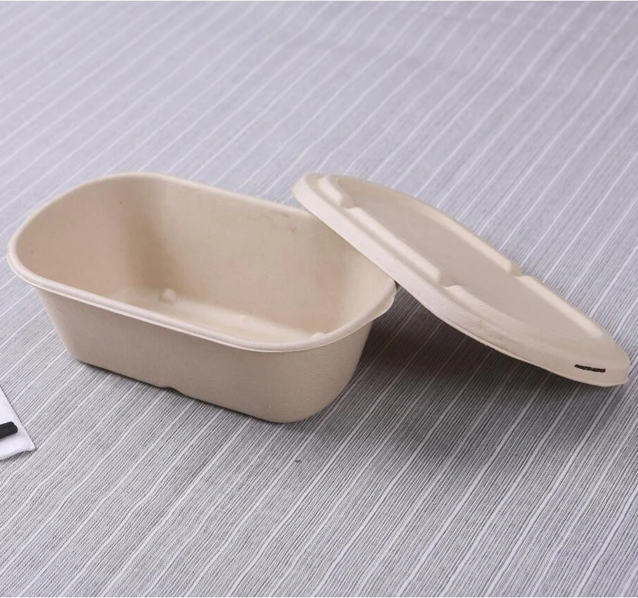 Customized BPA Free Sugarcane Bagasse Pulp Biodegradable to go containers food disposable tableware