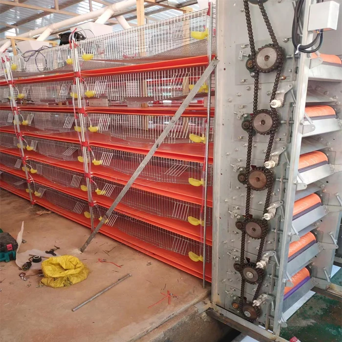 Automatic H type 6 floors quail eggs for egg production layer quail cage for sale