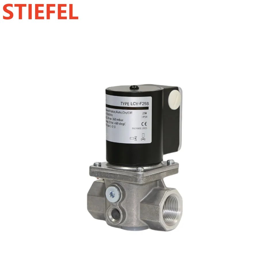 12V High-Temperature Gas Solenoid Valve Safety Control Parts for Gas Burners and Boilers OEM Customizable
