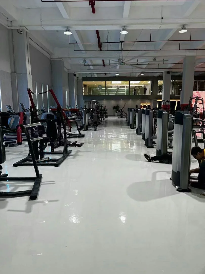 Commercial Use Metal Frame Upright Bike for Sale with Ce Approved