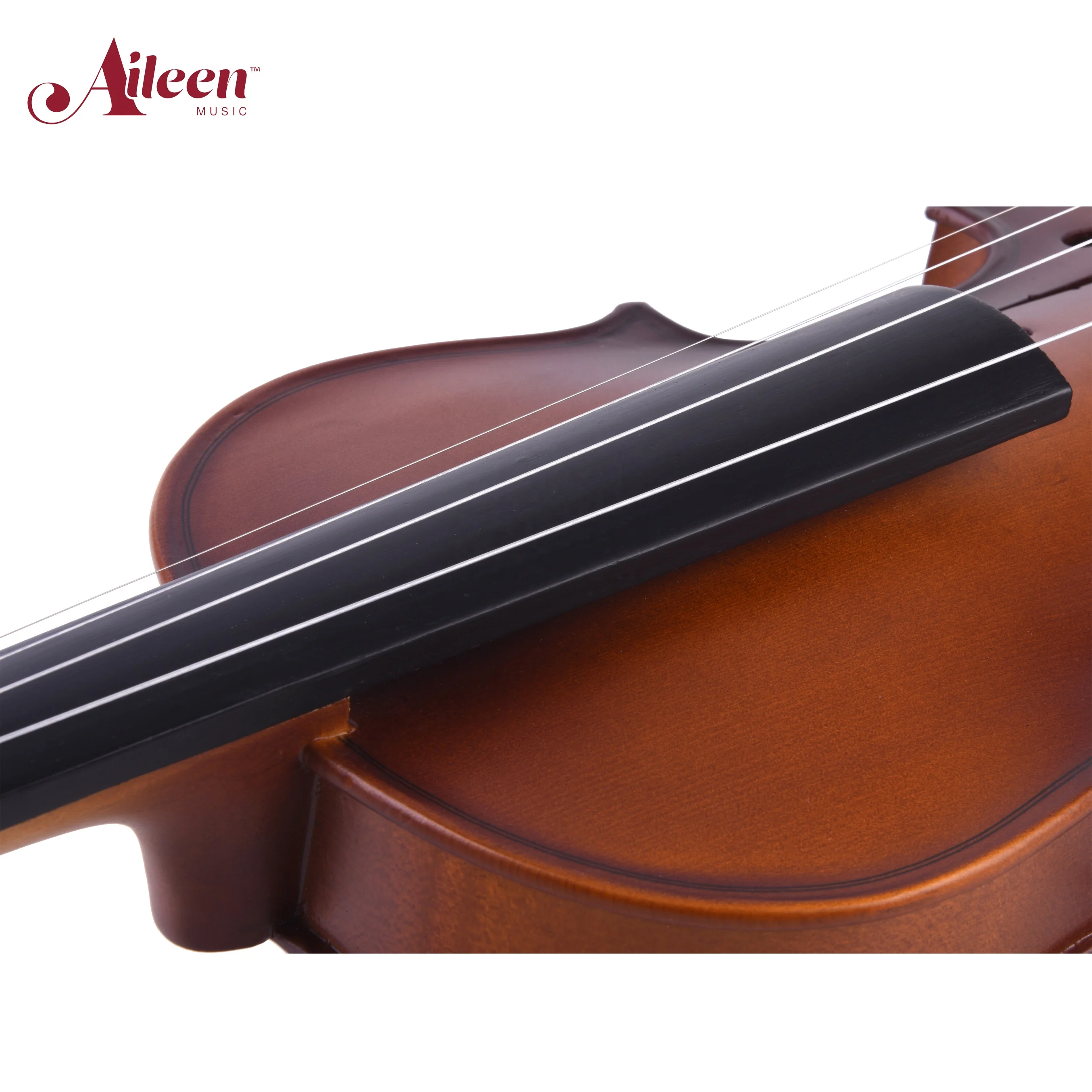 Aileen Student Handmade Solid Wood Starter 4/4 Full Size Violins Kit