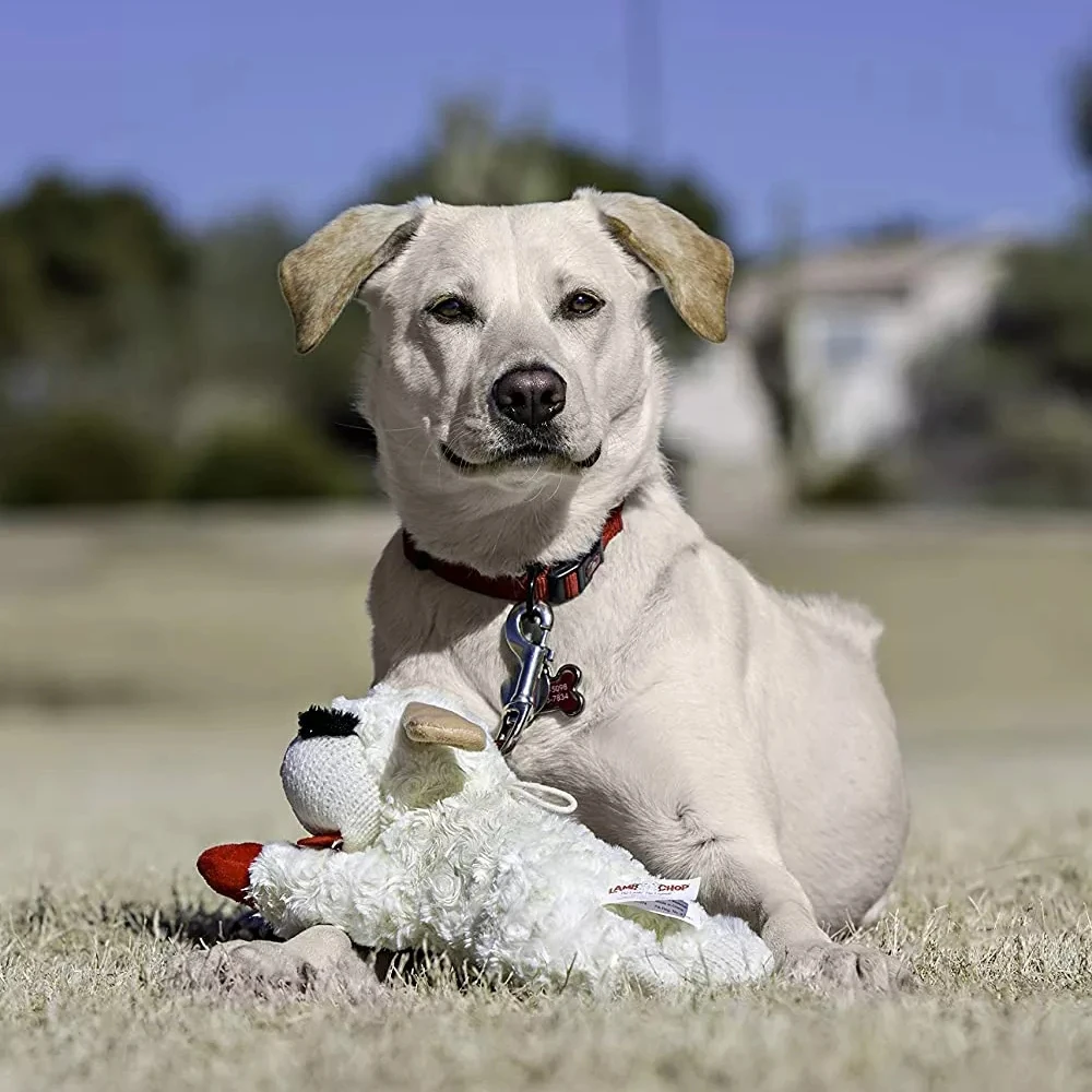 HOT selling Lambchop Squeaky Dog Toy with Crinkle Ears Plush Puppy Toy for Small and Medium Breed Non-Aggressive Chewers