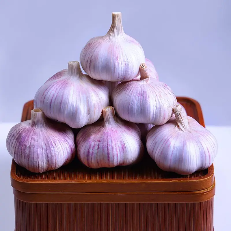 Factory Direct Hot Sale Pure White Normal White Fresh Garlic Normal Size 4.5 5.0 5.5 6.0cm