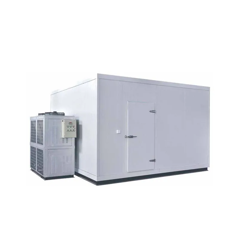 High Quality vegetables freezer cold room vegetable chiller for sale