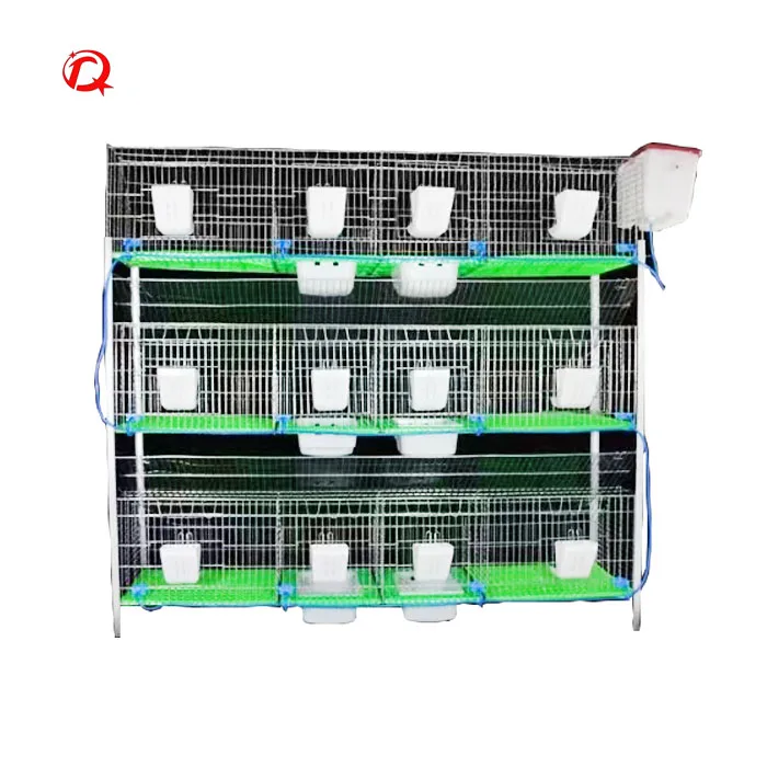 24 cell  H type hot dip galvanized wire mesh indoor rabbit cage layer automatic rabbit cage supplies