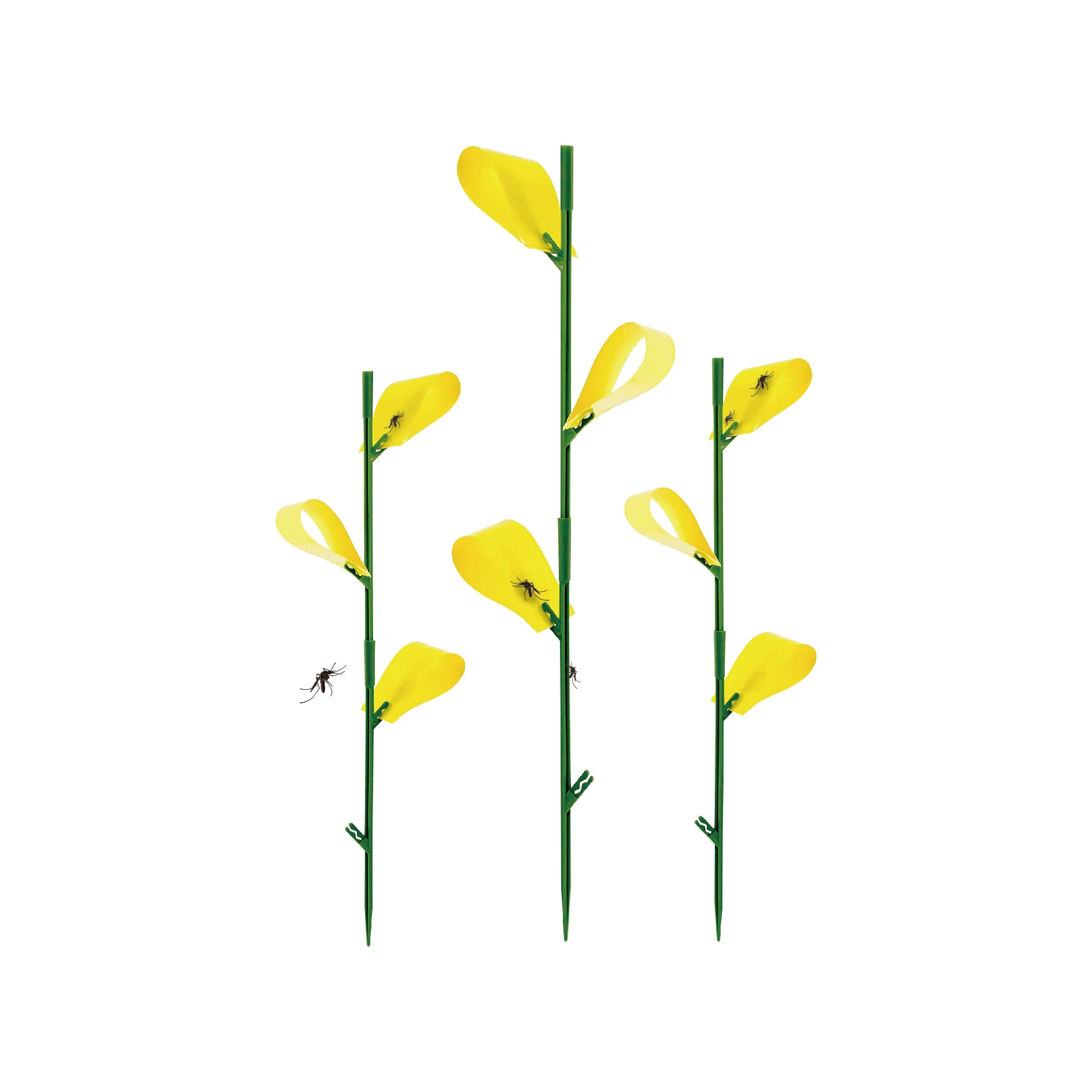 Dayoung Yellow Plant Gnat Sticky Traps Fruit Fly Sticky Traps for Insect Trap