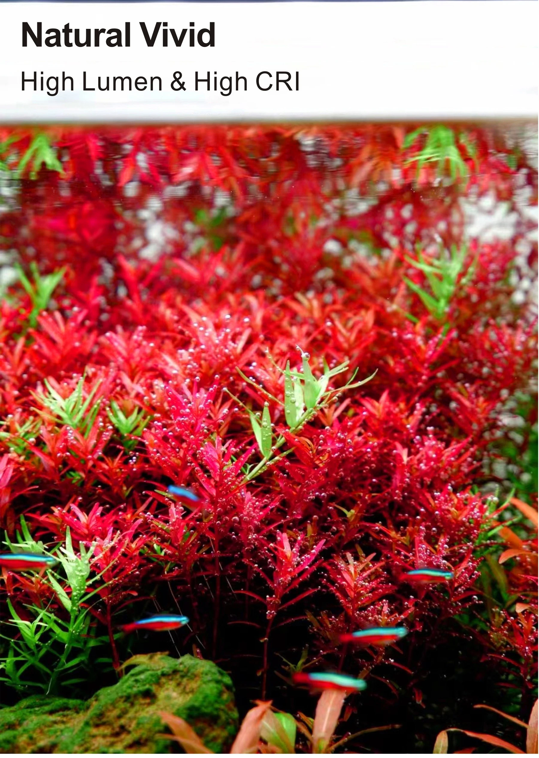 Wholesale Nihao series 600 85W High Power WRGB Spectrum with App Controller LED Aquarium Light China for planted Aquarium