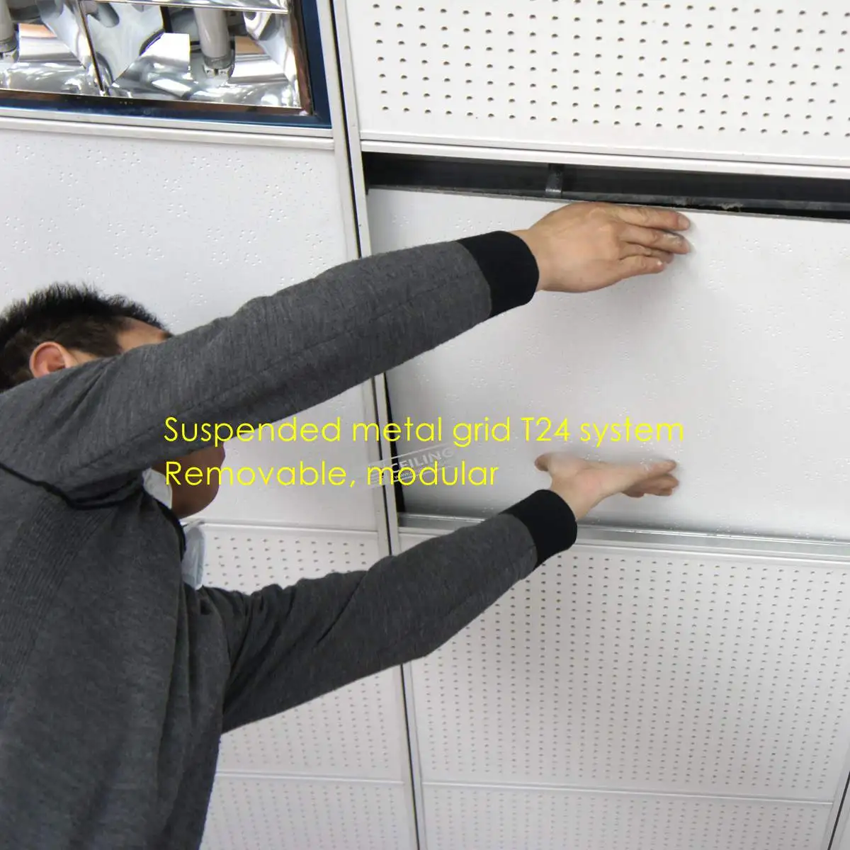 3_.jpg