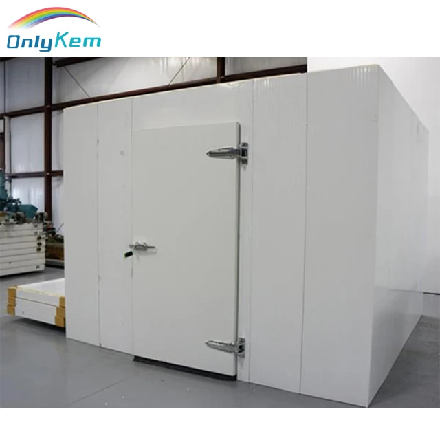 Walk in Freezer Room Low Temperature/walk Cold for Frozen Meat