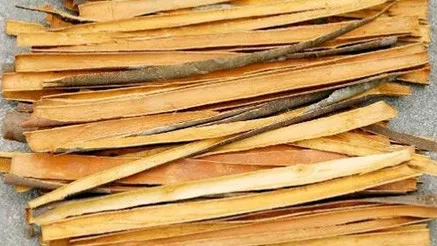 HOT SALE VIETNAM SPLIT CASSIA 35-45 CM FOR INDIA MARKET  Length 35 - 45cm (80% min) Free Sample