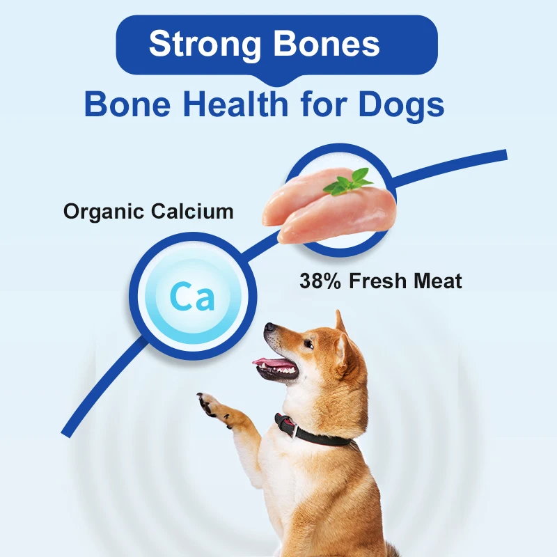 Vittide OEM/ODM Pet Food Gastrointestinal Fresh Meat Complete 4.8kg Grain Shapes Dry Food For Dog