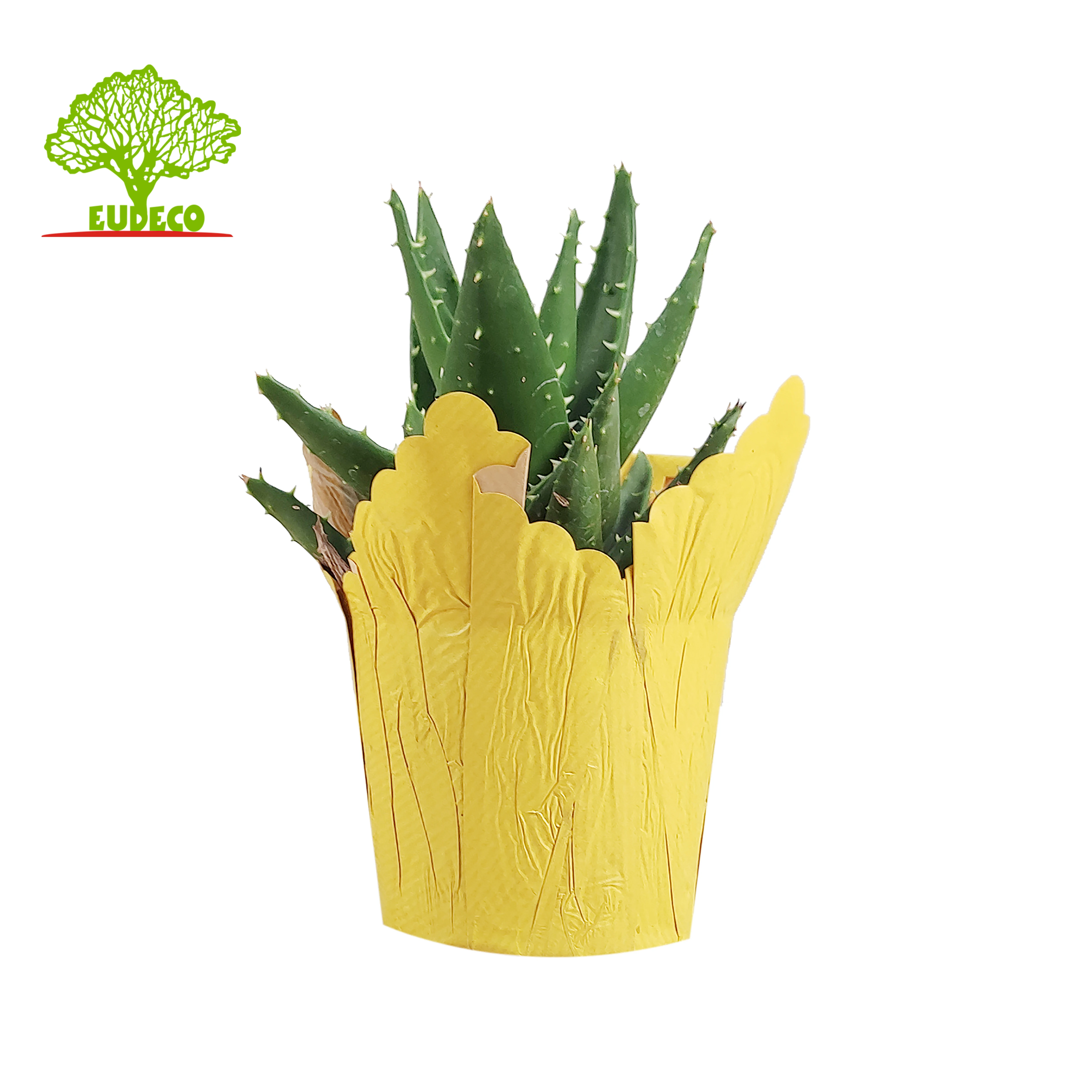 Pot Cover Flower Sleeves for Keeping Bouquets Moist While Sendin Bopp Printing Wholesale Wrapping Paper