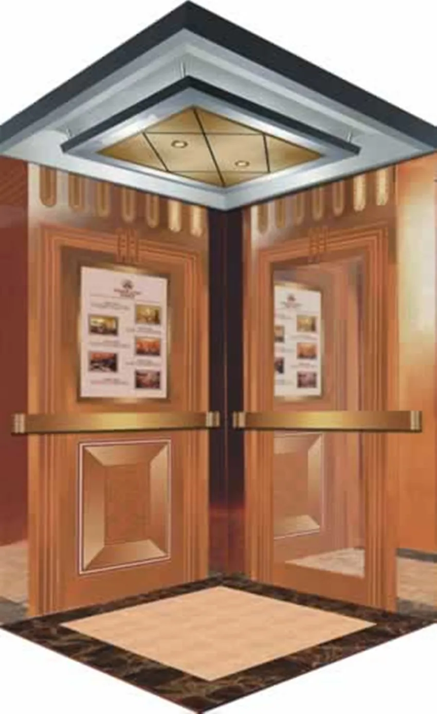 Qualified low price villa mini lift hyundai indoor elevator