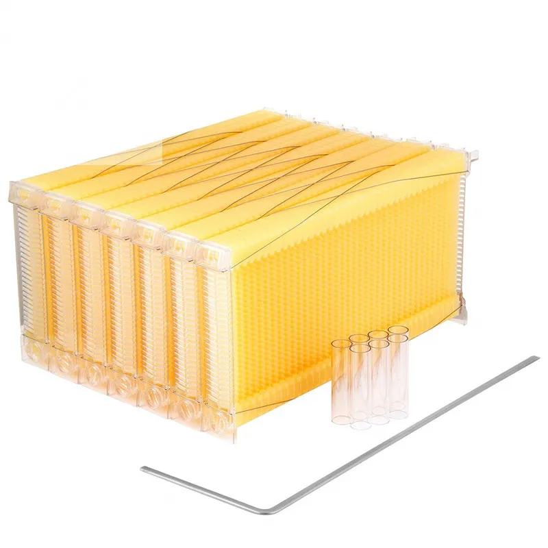 Beekeeping equipment apicultura Plastic beehive with honey outflow frames for beekeeping