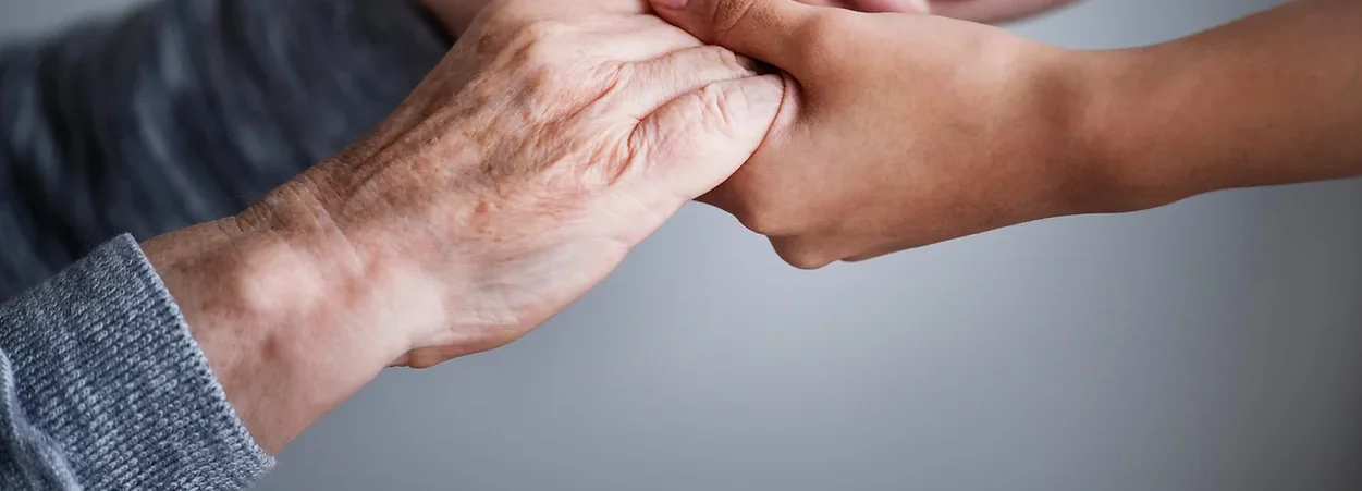 Hot sale seniors wellbeing healthy formula milk powder a milk based meal replacement powder that enhances health and vitality