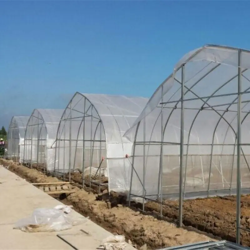 Mushroom greenhouse plastic cover panda film,8 mil black white agricultural film,UV treated 20ft wide poly plastic sheet