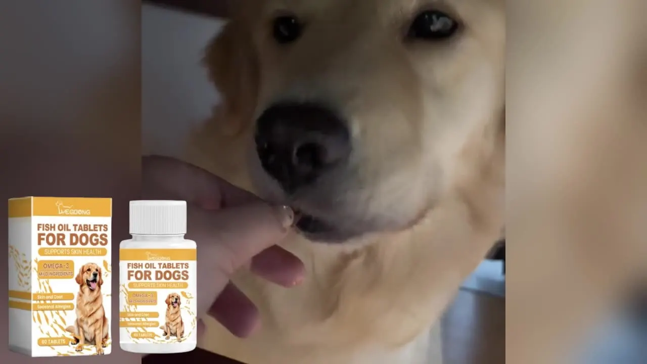 Multivitamin fish oil tablets for dogs, pet dog hair care moisturizing skin care, pet health products, pet care