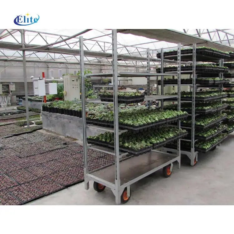 Plant transport trolleys flower pot carts hand trolley manufactures Cc Container Danish Trolley