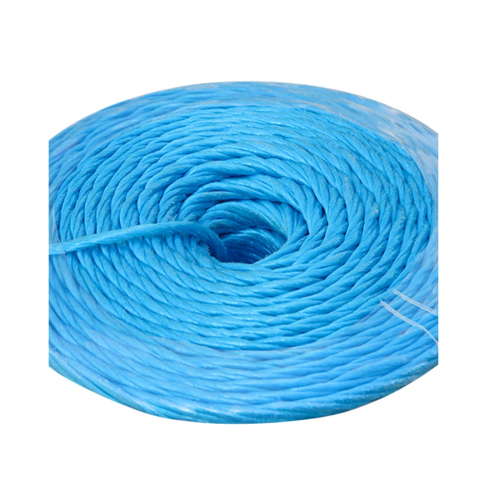 UV-resistance Polypropylene Cord Customized Length PP Hay Baler Twine for Alfalfa Hay Packing and Binding