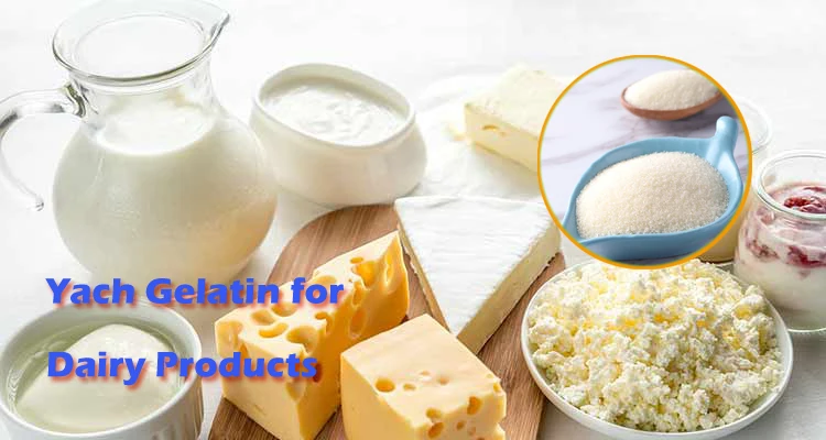 dairy YACH.jpg