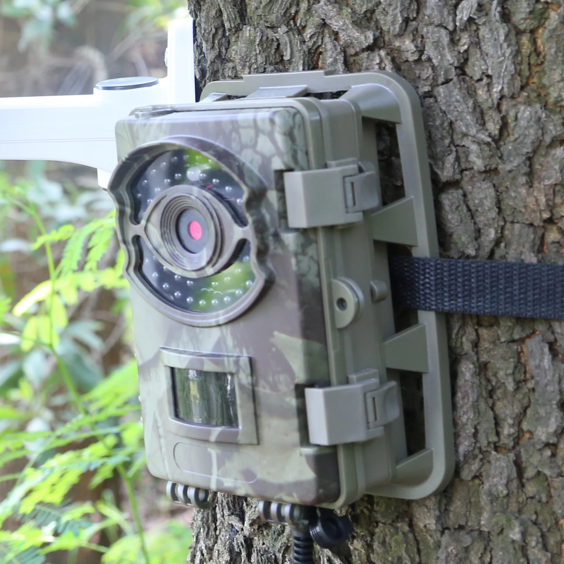 
2020 New Product Big Eye D3N Night Vision Game Trail Camera Video Wild Camera For Hunting 