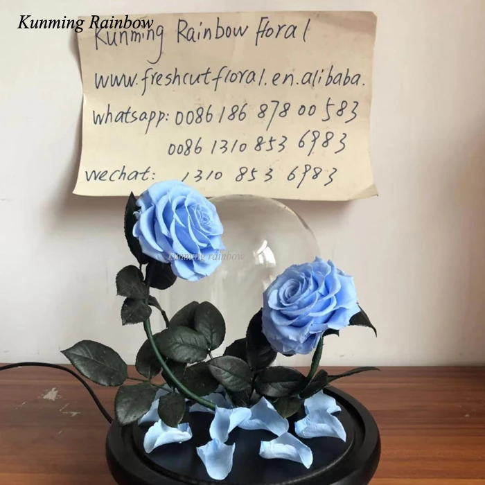 100% натуральные вечные стабилизированные консервированные розы изогнутая роза с стеблом в стекле ко Дню Святого Валентина