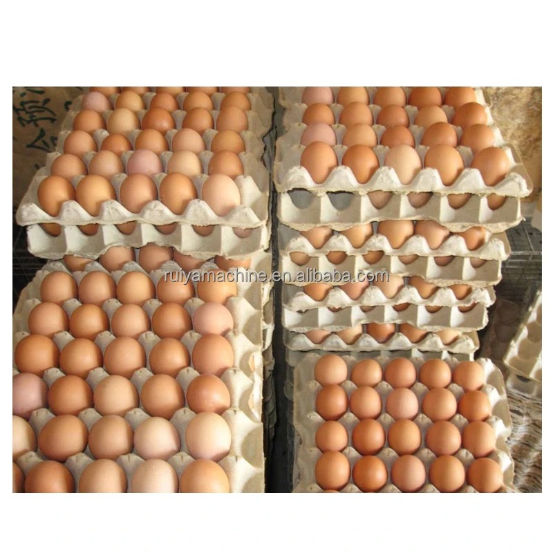 egg sorting machine (1)