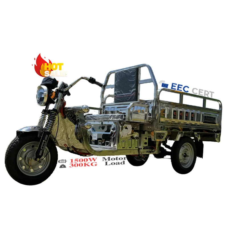 LB-3W7G 60V 800W 1000W Electric cargo Tricycle stainless steel electric tricycle 500KG load strong power 3 wheel