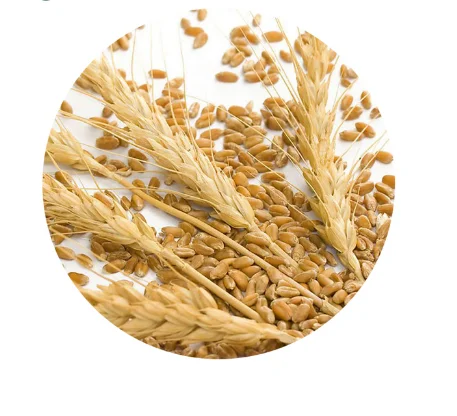 High Quality Vital Wheat Gluten 25kg Flour Hot Sale