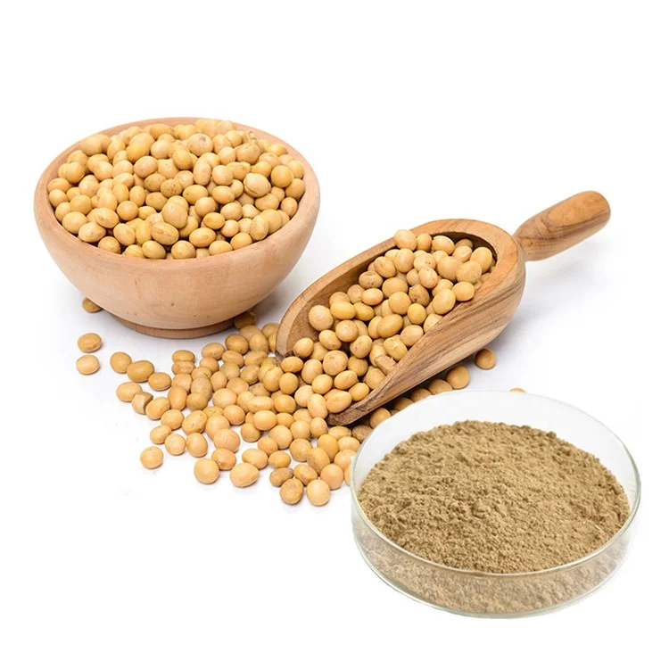 soy isoflavone professional producer pure soybean extract