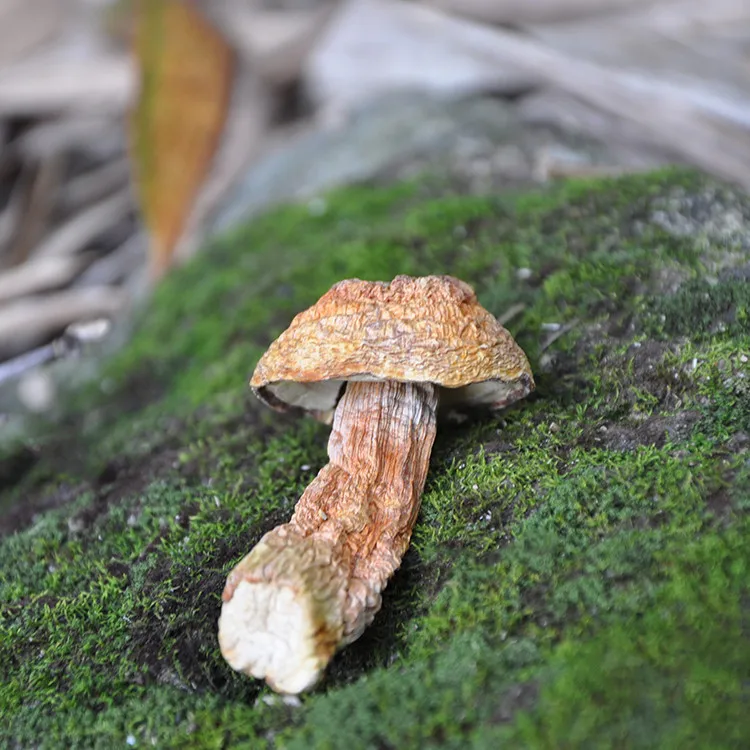 Натуральные товары Китай органические продукты питания сушеные грибы Agaricus Blazei