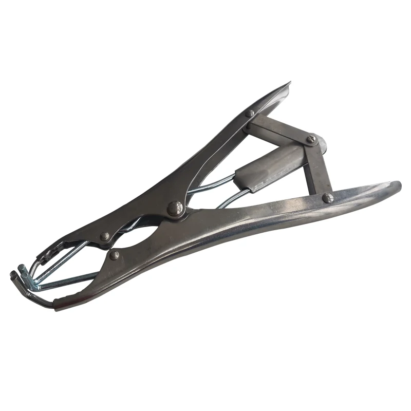Stainless Steel 304 Pig Sheep Goat Cow Cattle Dog Castration Forceps Cutting Tail Bloodless Castration Pliers